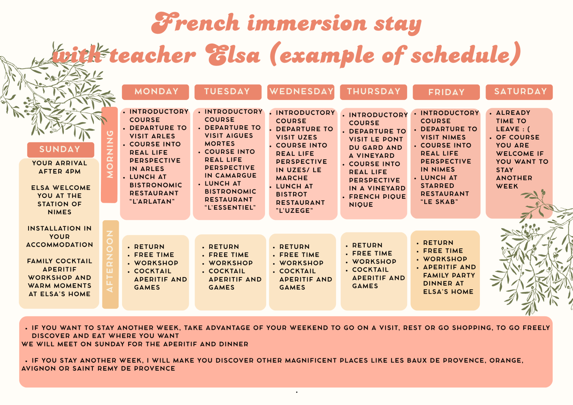 French immersion stay in provence 4